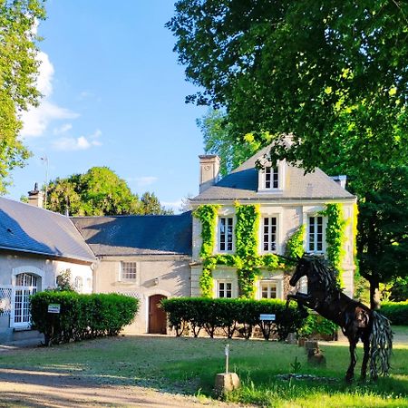 Chambres D'Hotes Du Domaine De L'Isle Civray-de-Touraine Dış mekan fotoğraf