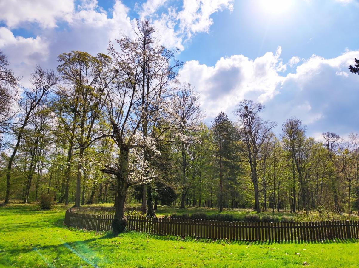 Chambres D'Hotes Du Domaine De L'Isle Civray-de-Touraine Dış mekan fotoğraf